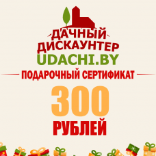Подарочный сертификат на 300 рублей